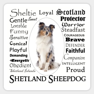 Blue Merle Sheltie Traits Sticker